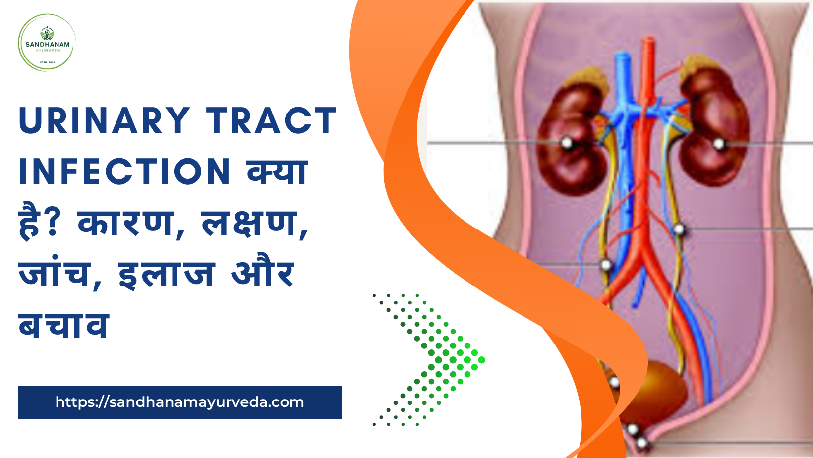 URINARY TRACT INFECTION क्या है? कारण, लक्षण, जांच, इलाज और बचाव